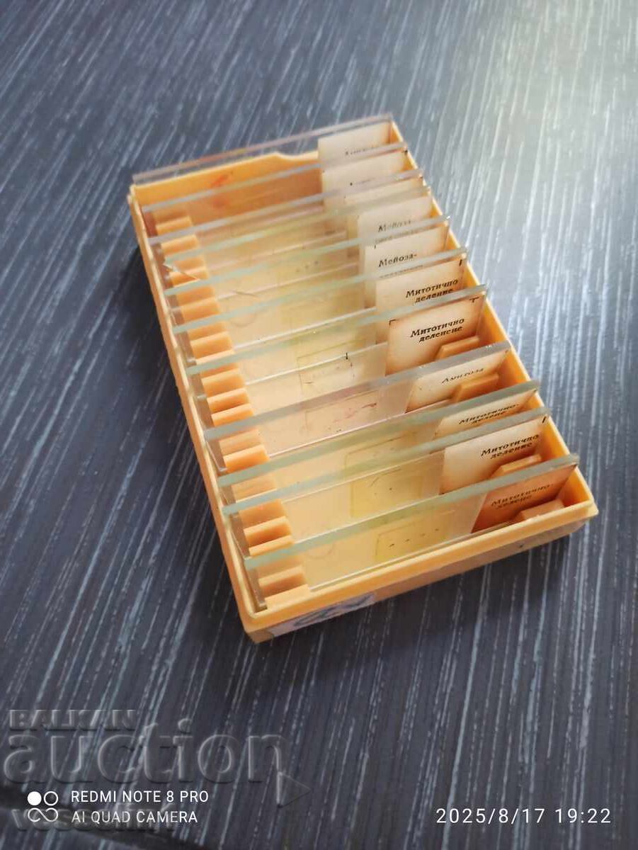 Preparate microscopice Delene UchTechProm Lomonosov Preparate microscopice Delene UchTechProm Lomonosov