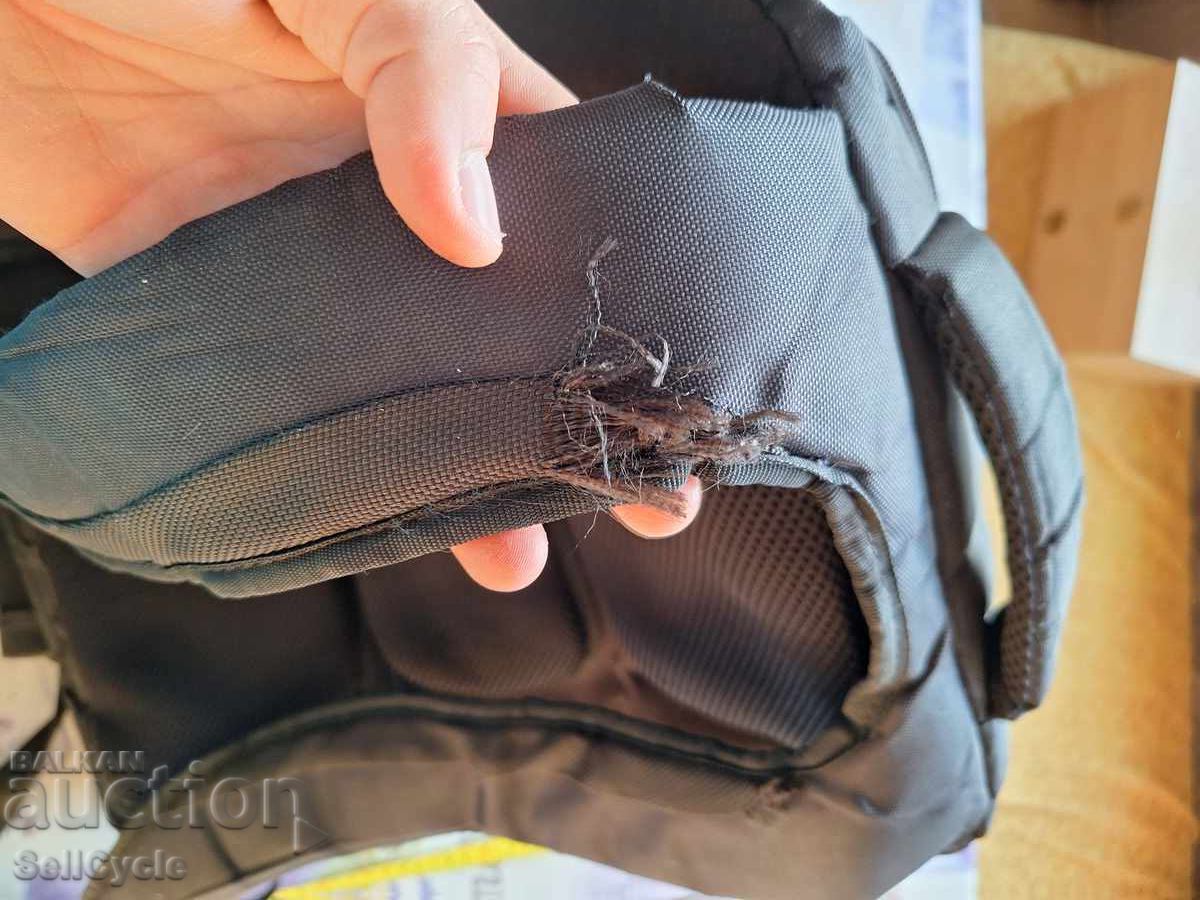 Auction  ✅ HEALTHY RANIČICA - BETANIEN❗