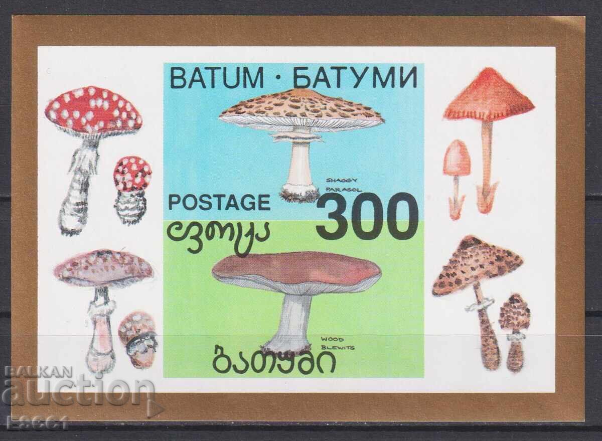 Clean Block Flora Sponges 1994 from Georgia Batumi