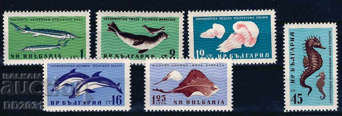 Bulgaria 1961 - faună marină MNH