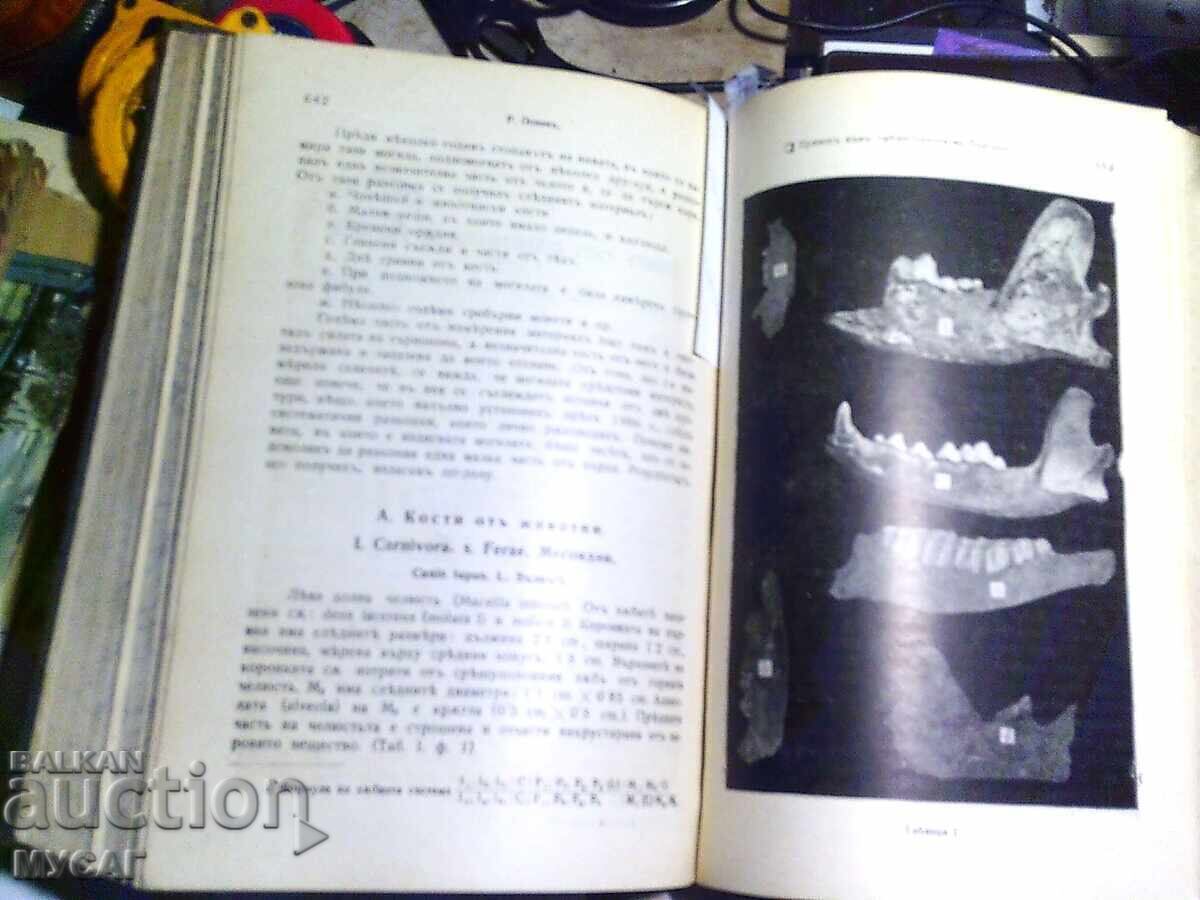 ΠΕΡΙΟΔΙΚΟ ΣΠΙΣΑNIE NA BŬLGARSKOTO KNIZHOVNO DRUZHESTVO v ΣΦ - 6 ΠΕΡΙΟΔΙΚΟ ΣΠΙΣΑNIE NA BŬLGARSKOTO KNIZHOVNO DRUZHESTVO v ΣΦ - 6