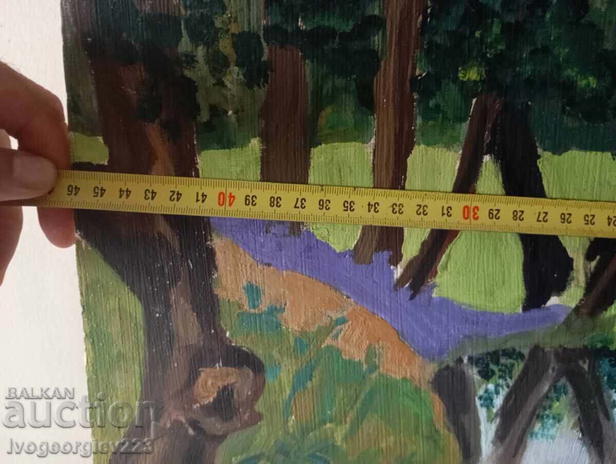 Τοπιογραφία με τιμή 35.00 BGN | € 17.90