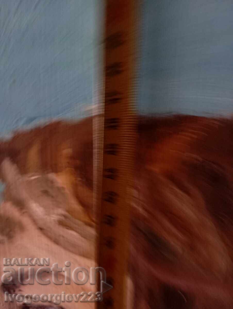 Δημοπρασία Πίνακας-πορτρέτο