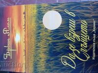 Έρβιν Γιάλομ Κοιτάζοντας τον ήλιο