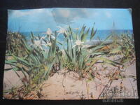 СОЗОПОЛ, Каваците - пясъчни кремове, Стара картичка