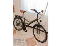 Bicicletă Unică de la Marca Mondială Diamant