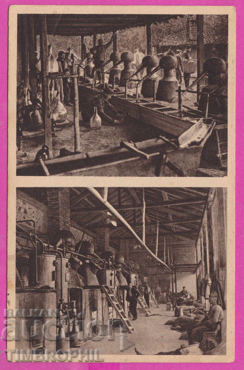 Auction A26330 / Kazanlak - Rose Picking Postcard Auction A26330 / Kazanlak - Rose Picking Postcard