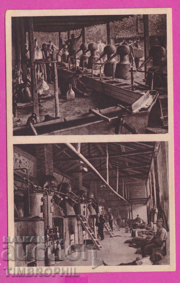 A26330A / Kazanlak - Rose Picking Postcard A26330A / Kazanlak - Rose Picking Postcard