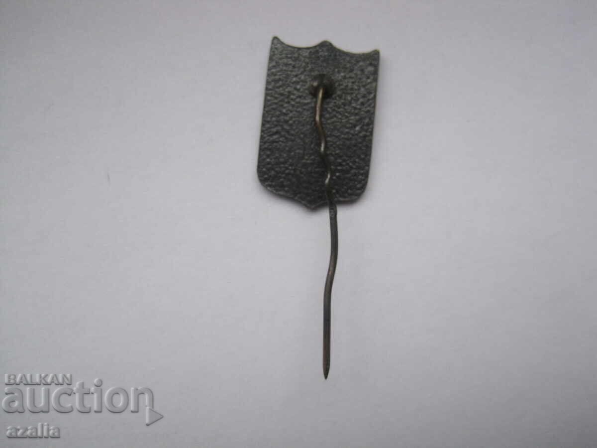 Delivery of Rundal Palace Badge - Latvia Delivery of Rundal Palace Badge - Latvia