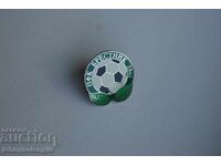 Футболна значка ФК Брестник, метална