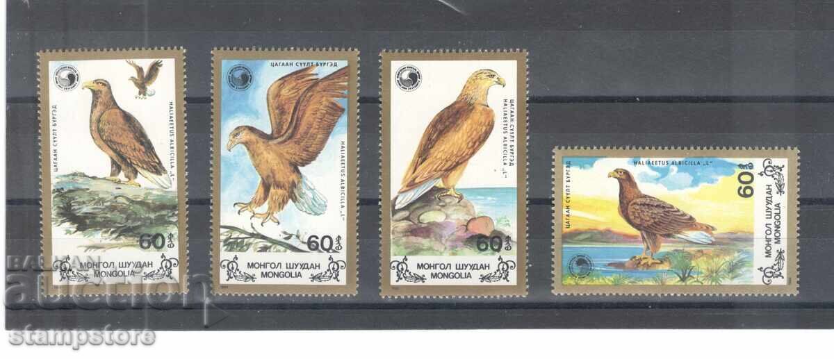 Mongolia - Rake Birds