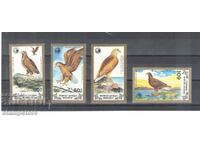 Mongolia - Rake Birds