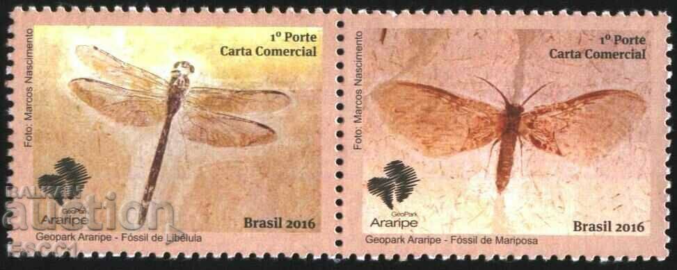 Clear Marks Fauna Insect Butterfly Dragonfly 2016 Βραζιλία