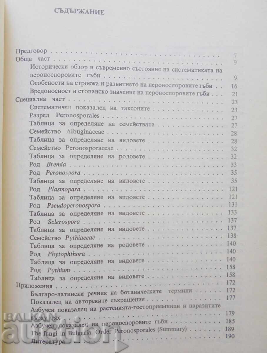 Auction Mushrooms in Bulgaria. Volume 2 Simeon Vanev et al. 1993 Auction Mushrooms in Bulgaria. Volume 2 Simeon Vanev et al. 1993