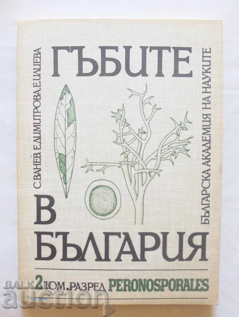 Mushrooms in Bulgaria. Volume 2 Simeon Vanev et al. 1993 Mushrooms in Bulgaria. Volume 2 Simeon Vanev et al. 1993