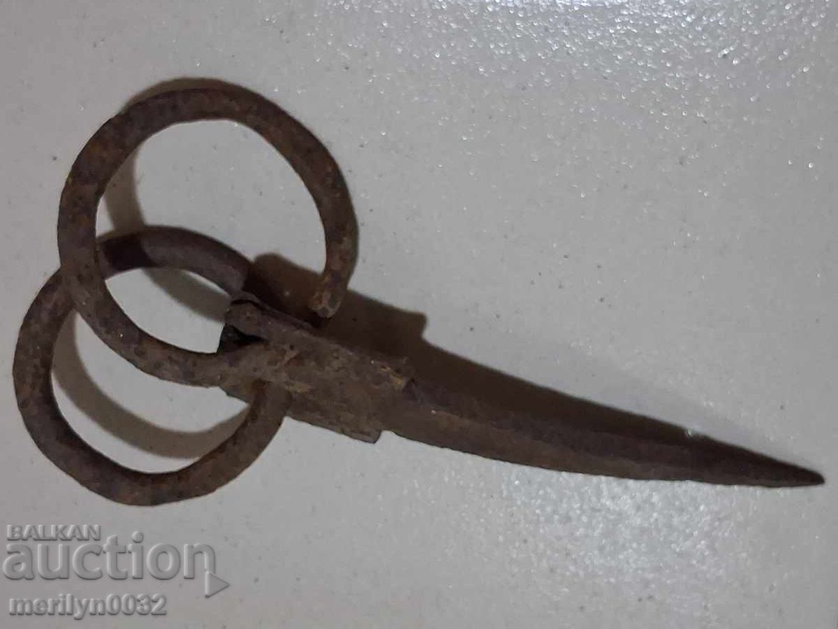 Метални халки, ковано желязо ок за каруца - 5