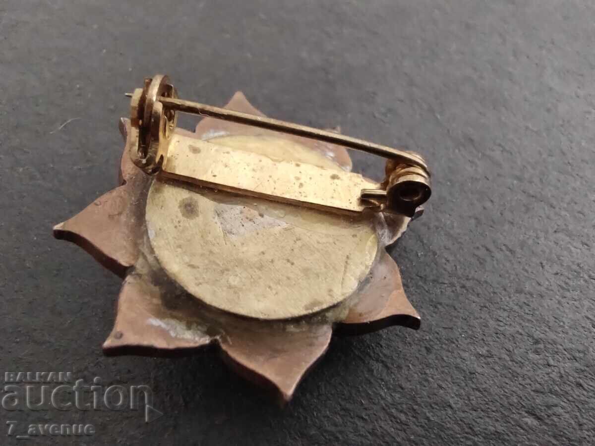 Брошка, накит интересна, естествени камъни 22.08.25 с цена 299.00 лв. | € 152.88