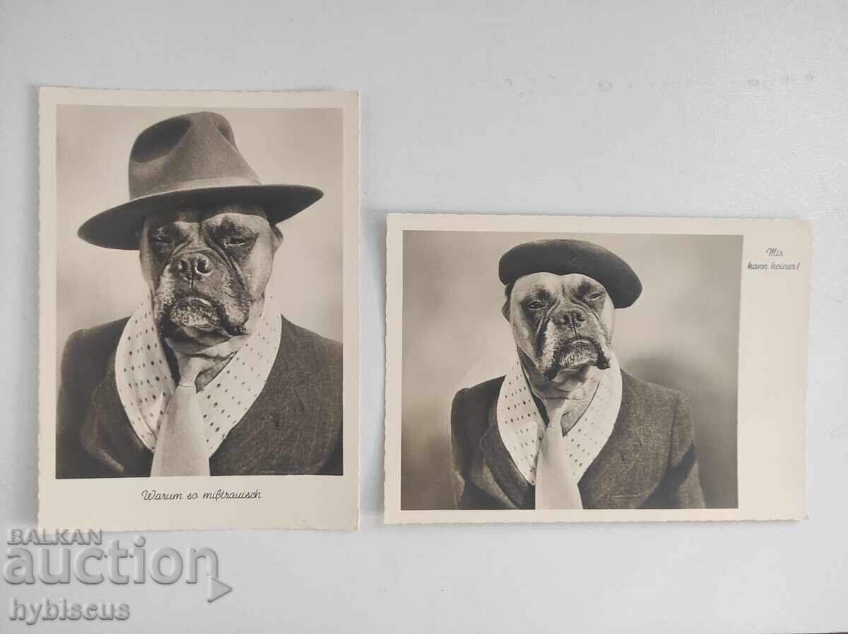 2x Cărți poștale Fotografie August Gunkel