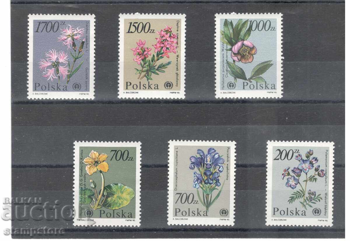 Φυτά από τον Βοτανικό Κήπο της Βαρσοβίας