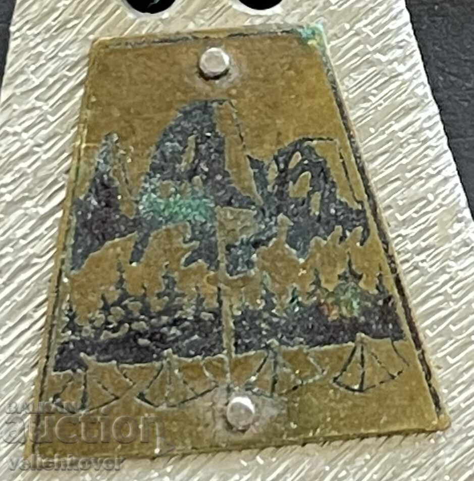 Delivery of 41560 Bulgaria tourist badge Alpine gathering BTS edelweiss