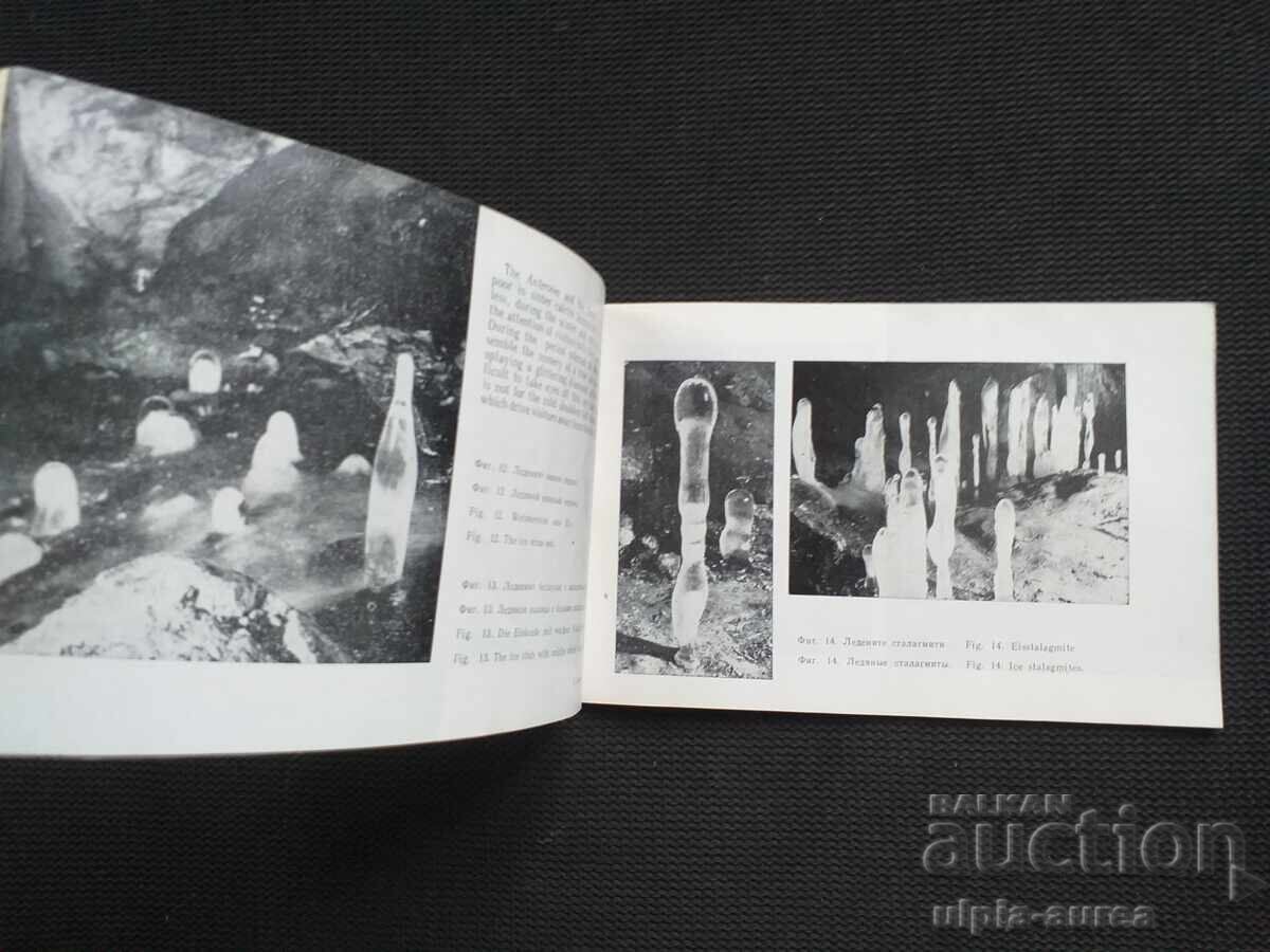 Social brochure with price 2.30 BGN | € 1.18 Social brochure with price 2.30 BGN | € 1.18