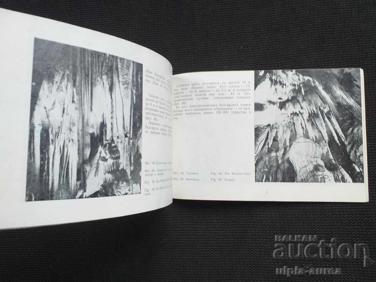 Delivery of Social brochure Delivery of Social brochure