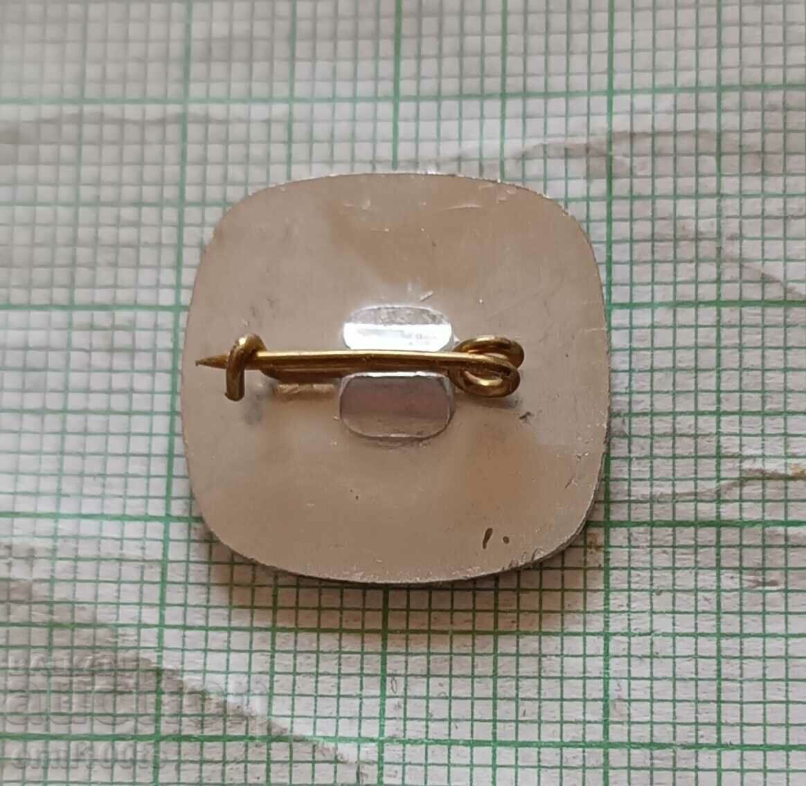 Доставка на Значка- ГС на БСФС София Доставка на Значка- ГС на БСФС София