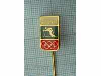 Insigna - Jocurile Olimpice de iarnă de la Innsbruck 1976