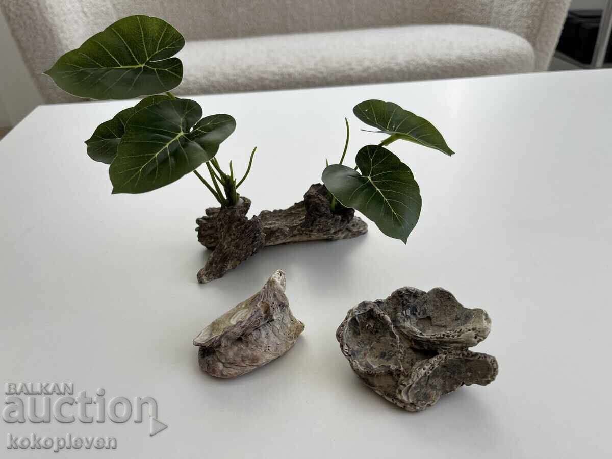 Aquarium for fish 10lv Full Set - 6 Aquarium for fish 10lv Full Set - 6