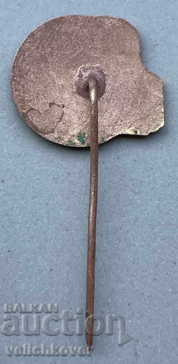 41603 България знак ТЕЦ Марица изток емайл с цена 7.00 лв. | € 3.58