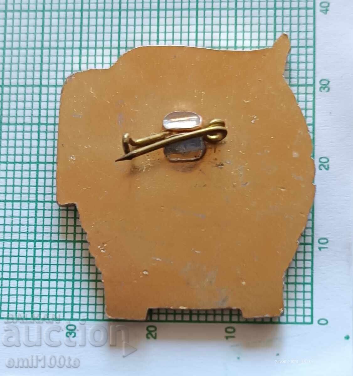 Delivery of Badge - Excellent MVR (Ministry of Internal Affairs)