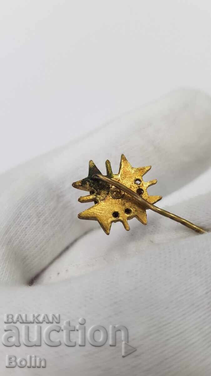 Доставка на Топ качество на царски знак, значка на запасните офицери