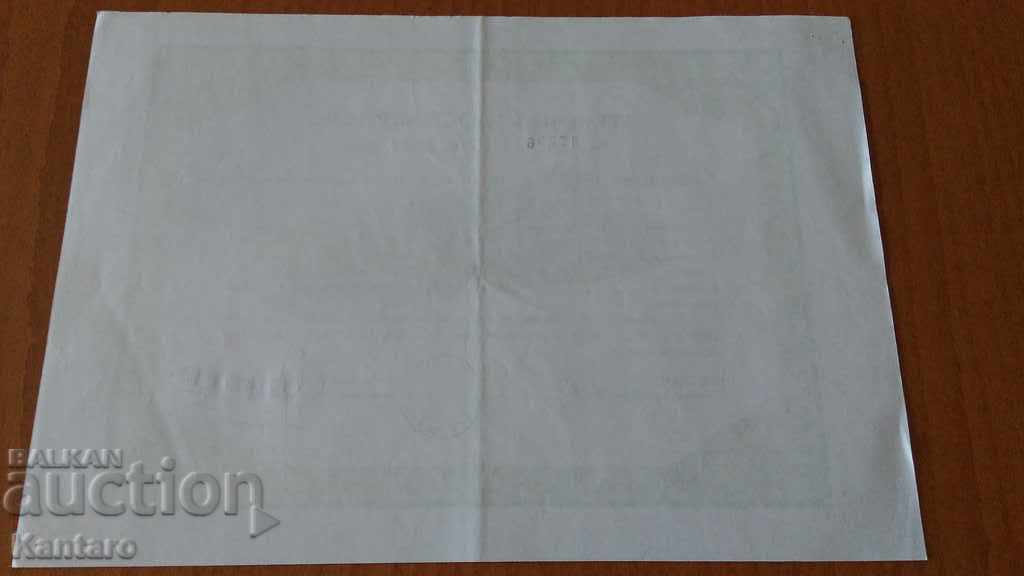 Action-Temporary certificate-JSC-TBS Hotels;-10,236 - 5