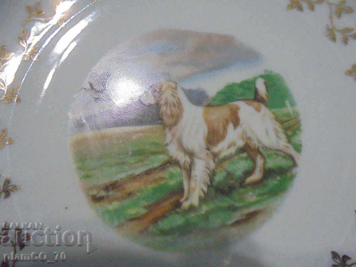 №*8215 παλιά πορσελάνινη πιατέλα / πίνακας - Schrvarzenhammer με τιμή 15.00 BGN | € 7.67