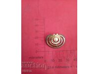 Antique Enamel Brooch