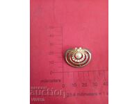 Αντίκα καρφίτσα σμάλτου