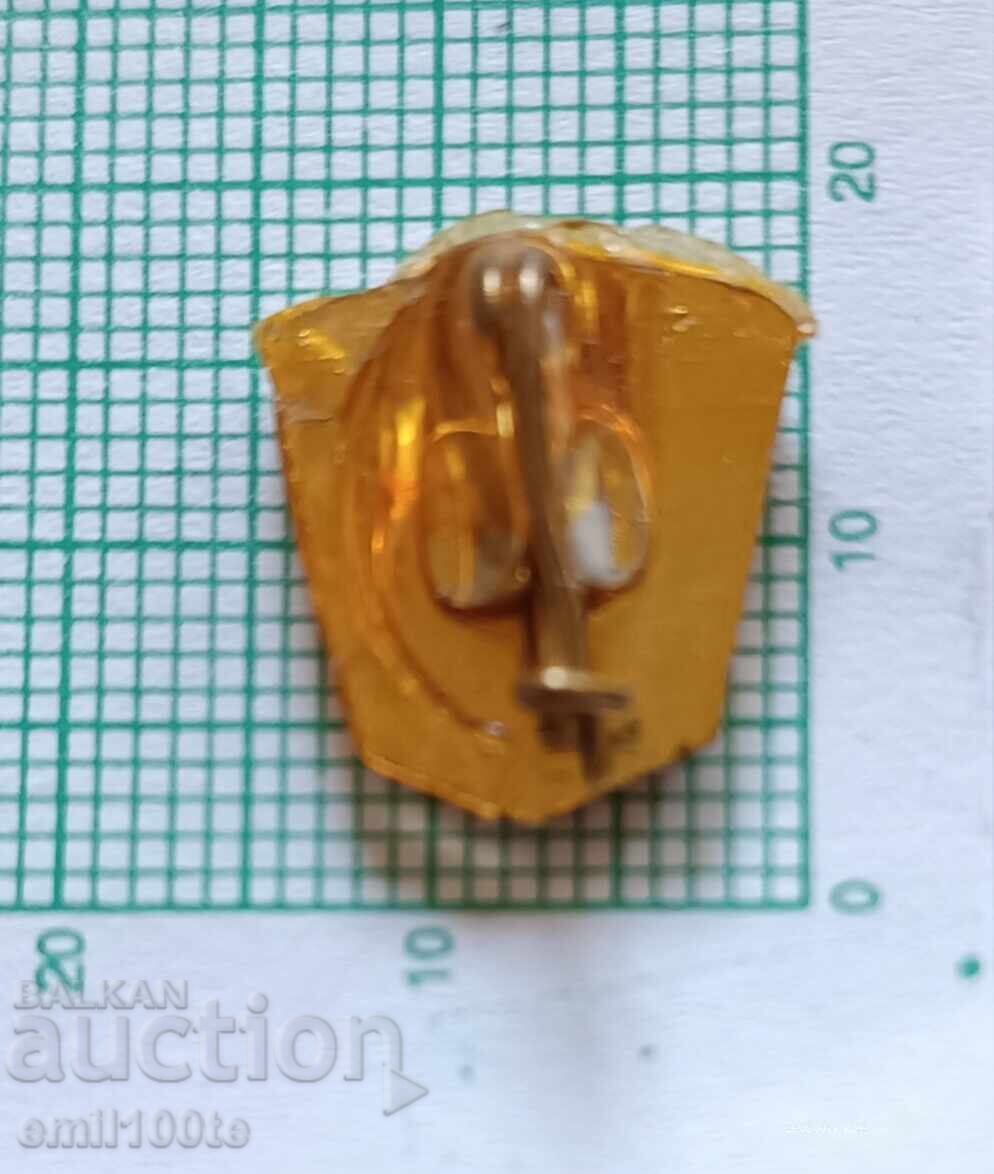 Σήμα - Ποδοσφαιρικός Σύλλογος Λουντογκόρετς Ραζγκράντ - 6