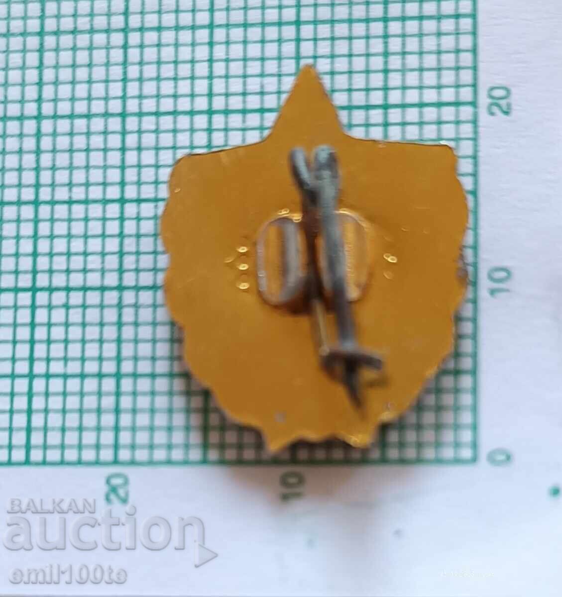 Delivery of Badge - VIF Georgi Dimitrov (now NSA)