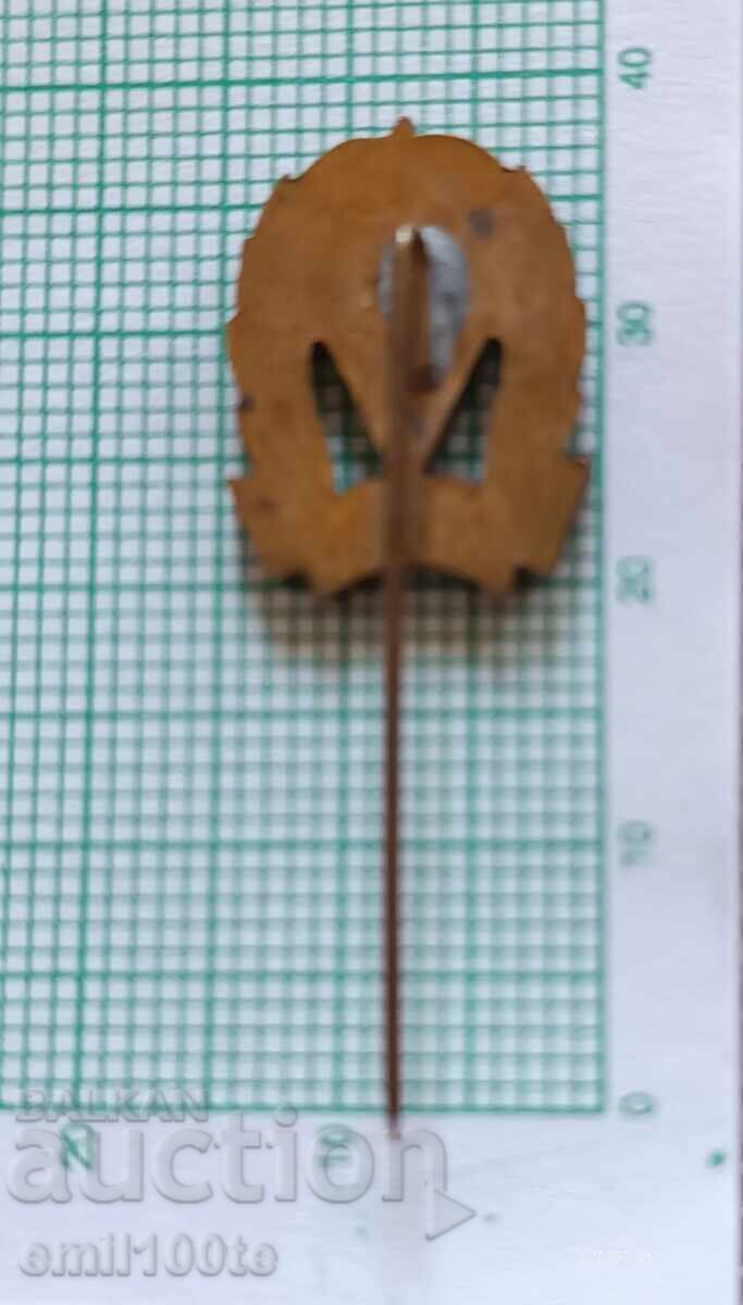 Livrarea Emblemă - Clubul de fotbal Dózsa Ujpest Dozsa Ujpest Ungaria