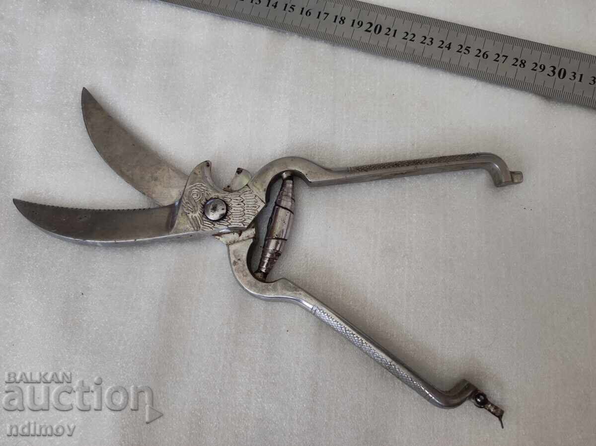 Solingen Kitchen Scissors for Cutting Solingen - 5 Solingen Kitchen Scissors for Cutting Solingen - 5