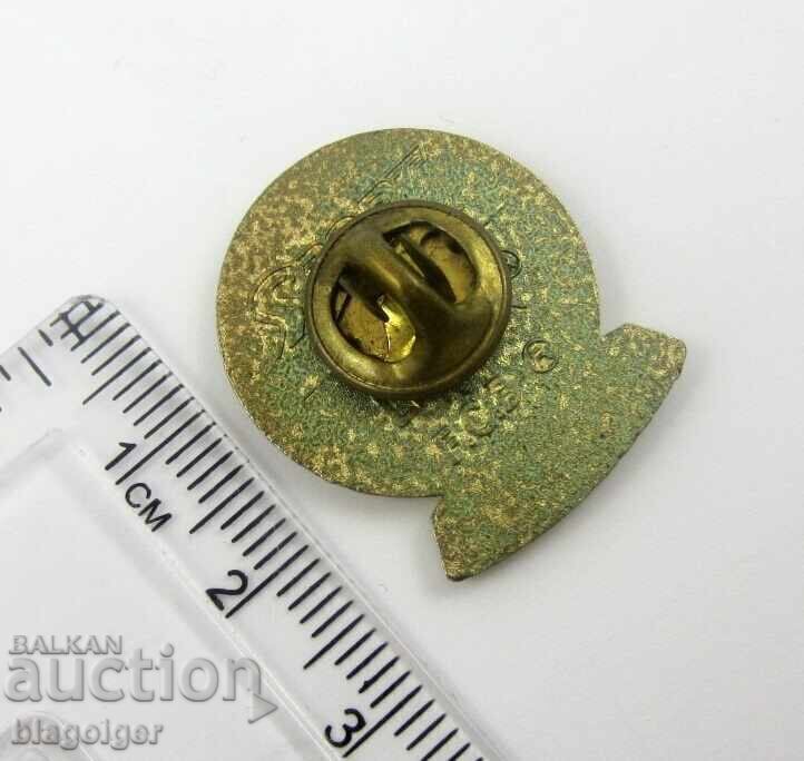 Licitație Emblemă de fan fotbal - Hristo Stoichkov - Barcelona