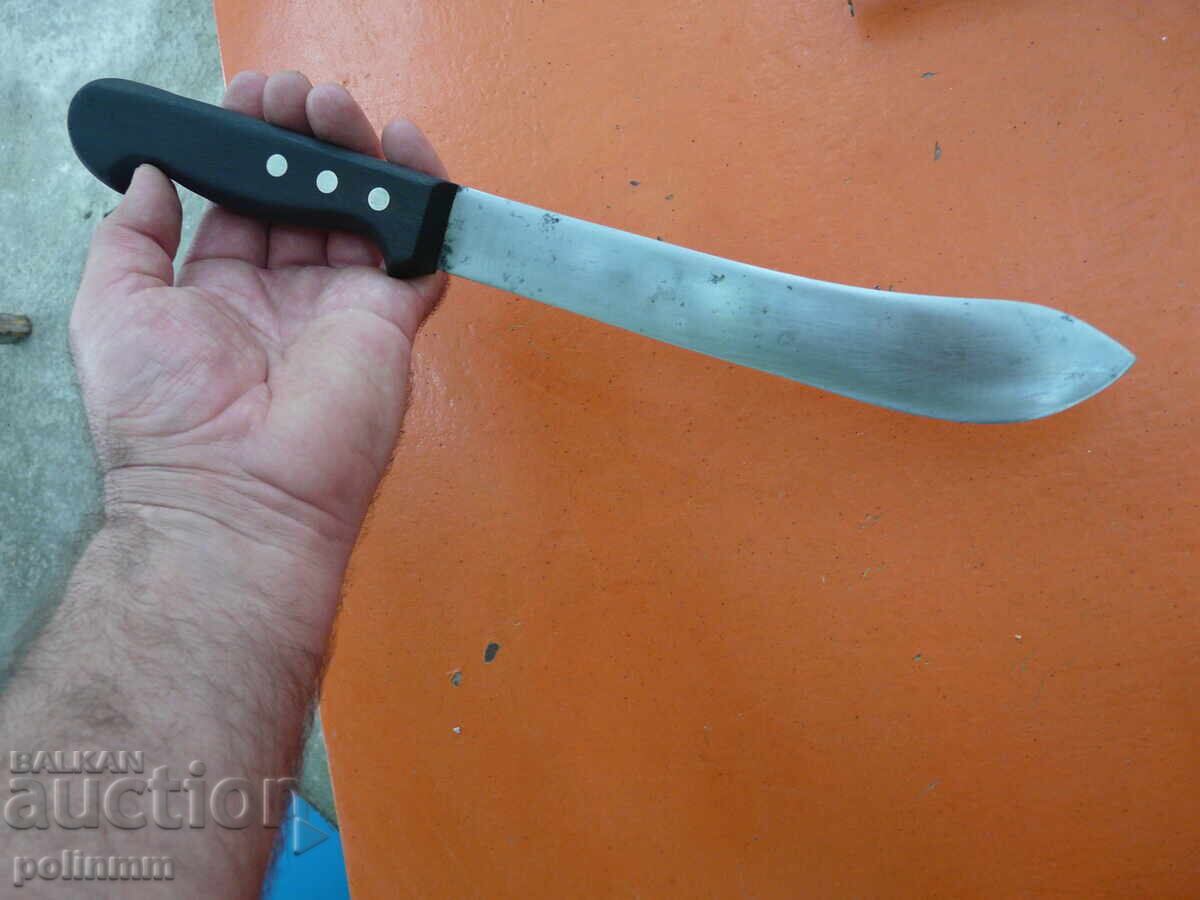 Livrarea Cuțit tranșare F Dick - 179