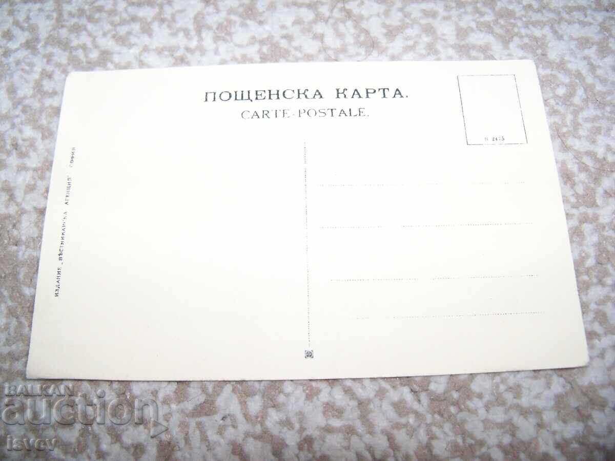 Η Τσαρίτσα ως Μητέρα Ελεήμων στον Απελευθερωτικό Πόλεμο με τιμή 25.00 BGN | € 12.78