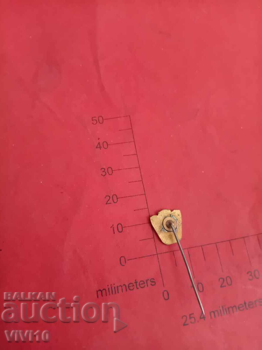 Emblemă de fotbal Beroe, email cu preț € 10.00 | 19.56 BGN