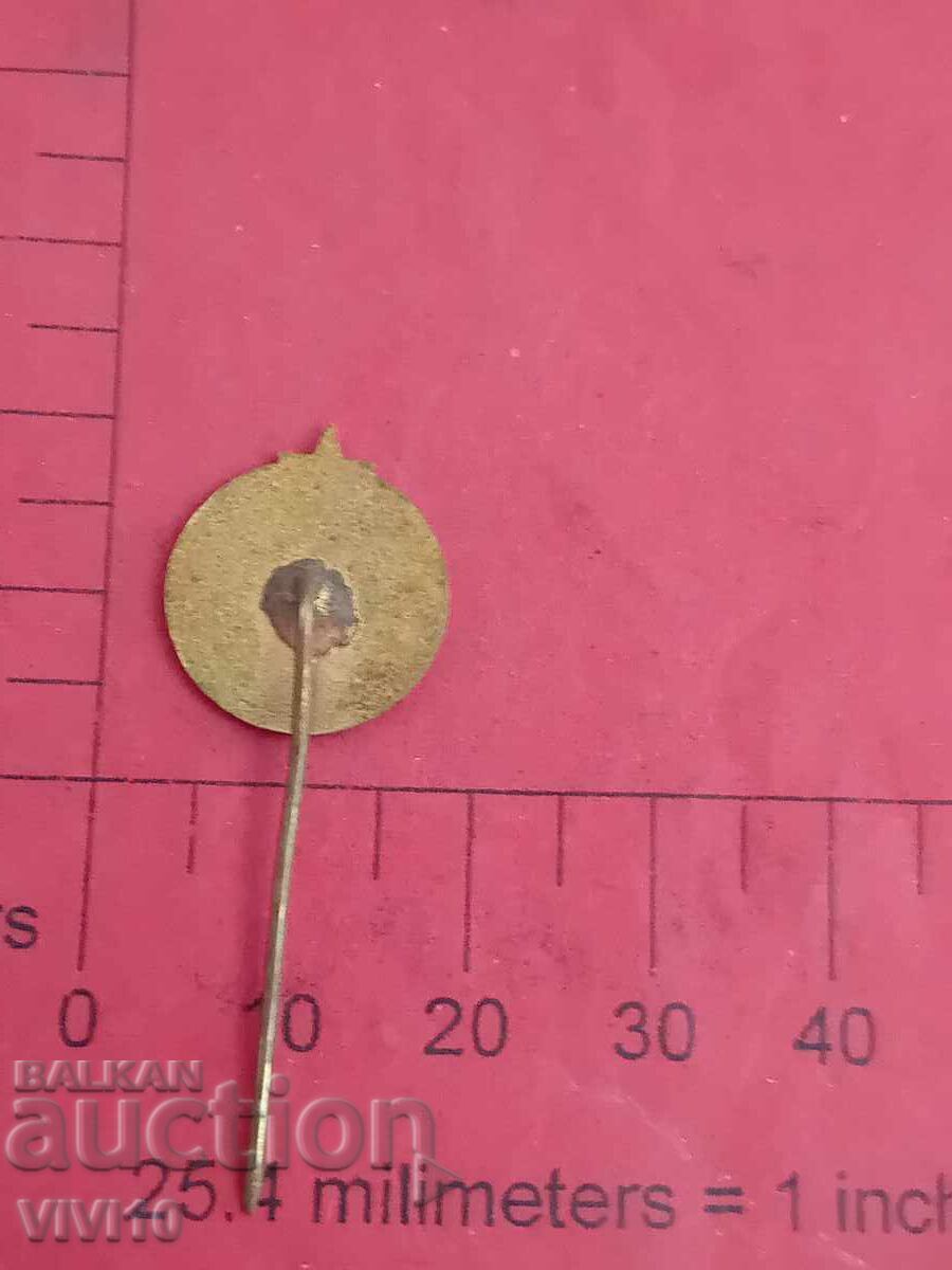 Футболна значка Светкавица, ТЪРГОВИЩЕ с цена 15.00 лв. | € 7.67 Футболна значка Светкавица, ТЪРГОВИЩЕ с цена 15.00 лв. | € 7.67