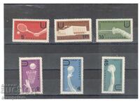 International University Sports Games - Serrated Series