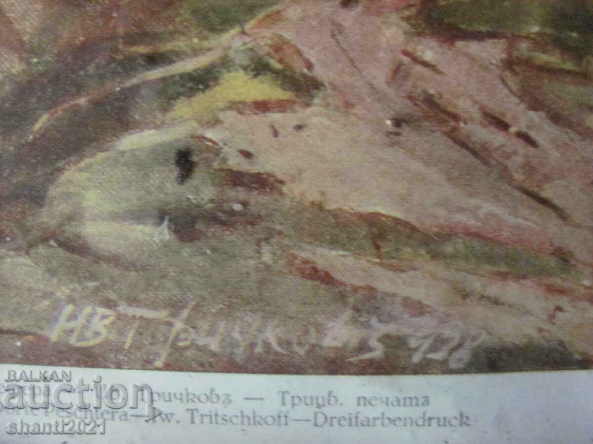 Old print, tricolor print Ivan Trichkov, 22x20cm - 5