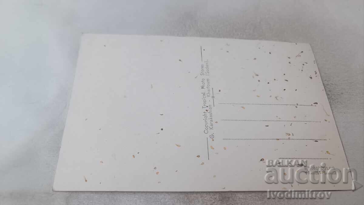 Пощенска картичка Khartoum Blue Nile Bridge с цена 0.85 лв. | € 0.43