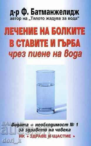 Αντιμετώπιση του πόνου στις αρθρώσεις και στην πλάτη με πόσιμο νερό
