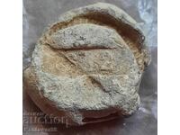 Principality of Bulgaria 1882 - lead seal (plomb)